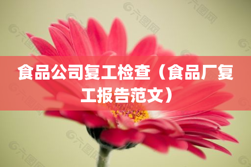 lizhengqiao 第44页