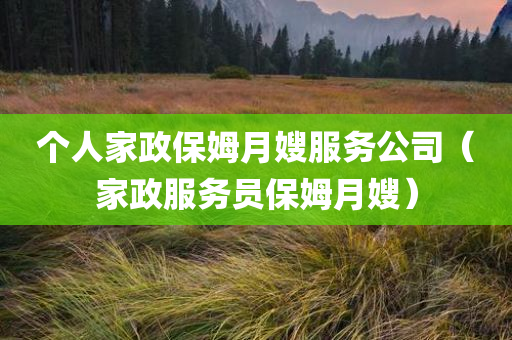 个人家政保姆月嫂服务公司（家政服务员保姆月嫂）