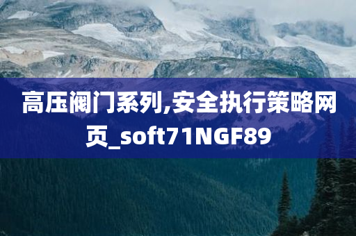 高压阀门系列,安全执行策略网页_soft71NGF89