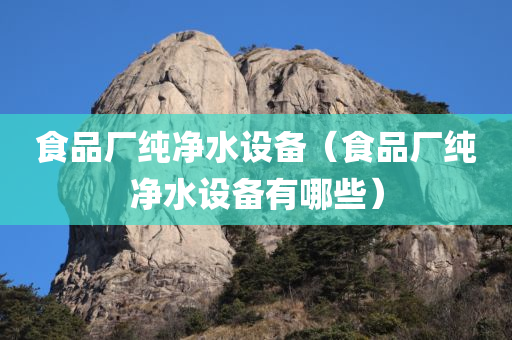 食品厂纯净水设备（食品厂纯净水设备有哪些）