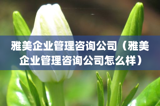 雅美企业管理咨询公司（雅美企业管理咨询公司怎么样）