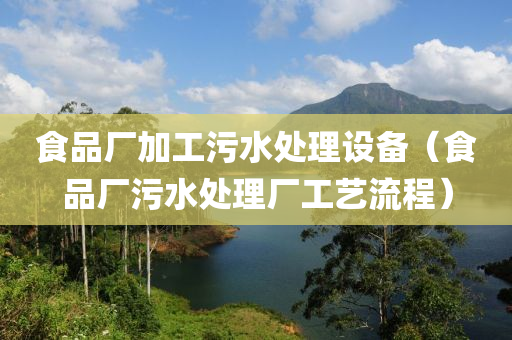 食品厂加工污水处理设备（食品厂污水处理厂工艺流程）