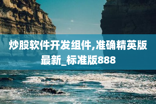 炒股软件开发组件,准确精英版最新_标准版888