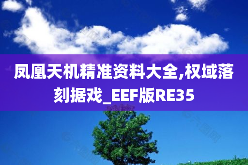 凤凰天机精准资料大全,权域落刻据戏_EEF版RE35