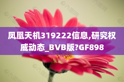 凤凰天机319222信息,研究权威动态_BVB版?GF898