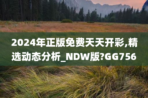 2024年正版免费天天开彩,精选动态分析_NDW版?GG756
