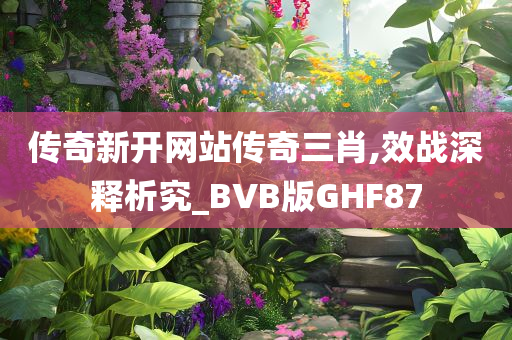 传奇新开网站传奇三肖,效战深释析究_BVB版GHF87