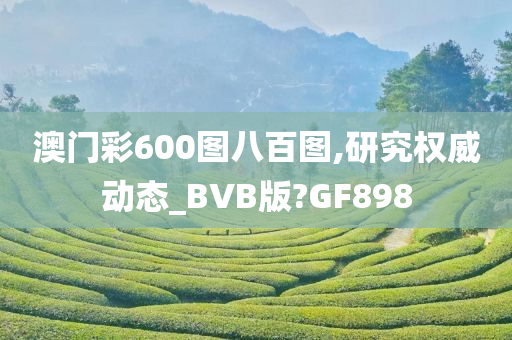 澳门彩600图八百图,研究权威动态_BVB版?GF898