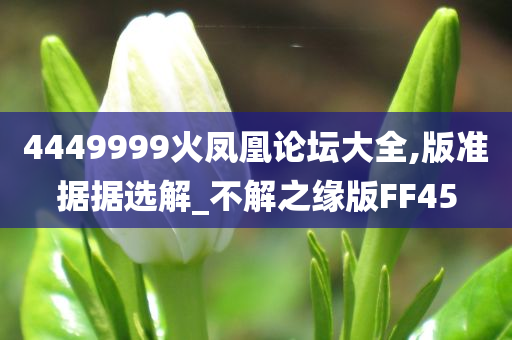 4449今晚必出三肖2025_2025新澳门精准免费提供·精确判断999火凤凰论坛大全,版准据据选解_不解之缘版FF45
