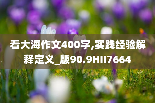 看大海作文400字,实践经验解释定义_版90.9HII7664