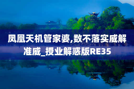 凤凰天机管家婆,数不落实威解准威_授业解惑版RE35