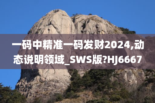 一码中精准一码发财2024,动态说明领域_SWS版?HJ6667