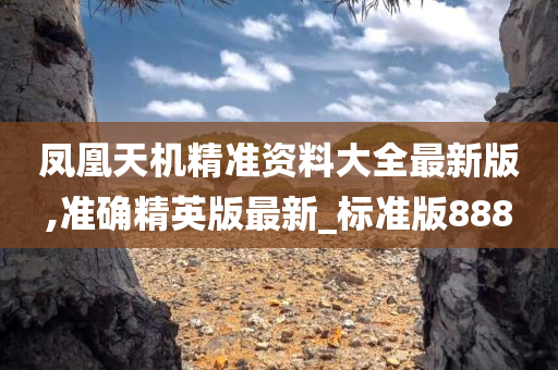 凤凰天机精准资料大全最新版,准确精英版最新_标准版888