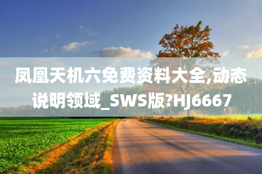 凤凰天机六免费资料大全,动态说明领域_SWS版?HJ6667