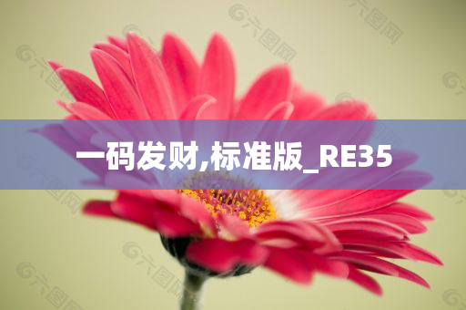 一码发财,标准版_RE35