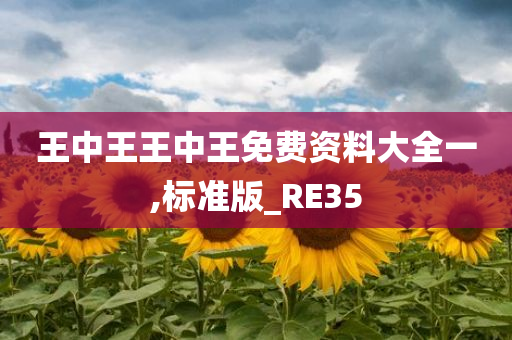 王中王王中王免费资料大全一,标准版_RE35