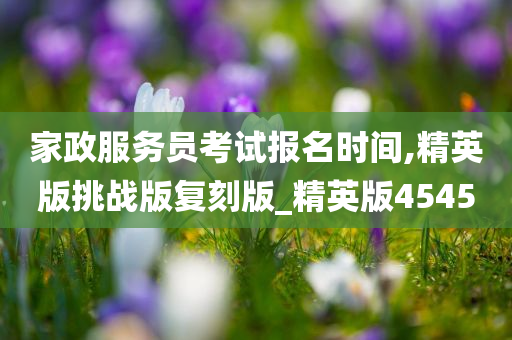 家政服务员今晚必出三肖2025_2025新澳门精准免费提供·精确判断考试报名时间,精英版挑战版复刻版_精英版4545