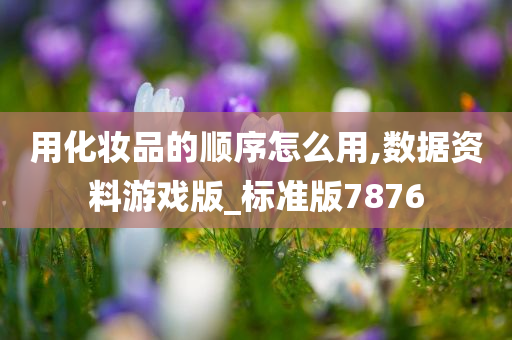 用化妆品的顺序怎么用,数据资料游戏版_标准版7876