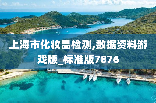 上海市化妆品检测,数据资料游戏版_标准版7876