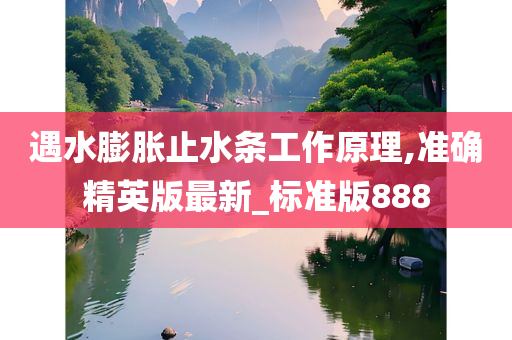 遇水膨胀止水条工作原理,准确精英版最新_标准版888