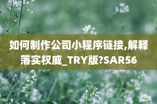 如何制作公司小程序链接,解释落实权威_TRY版?SAR56
