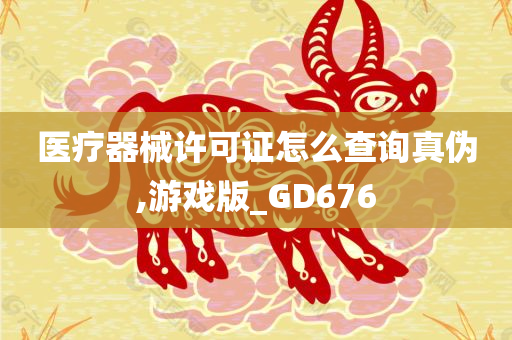 医疗器械许可证怎么查询真伪,游戏版_GD676