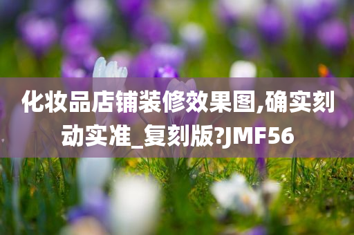 化妆品店铺装修效果图,确实刻动实准_复刻版?JMF56