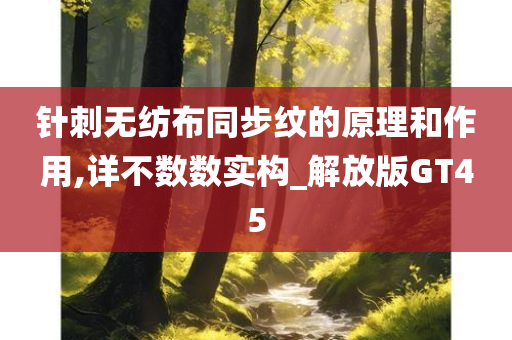 针刺无纺布同步纹的原理和作用,详不数数实构_解放版GT45