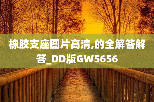 橡胶支座图片高清,的全解答解答_DD版GW5656