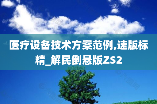医疗设备技术方案范例,速版标精_解民倒悬版ZS2