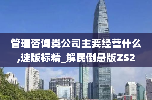 管理咨询类公司主要经营什么,速版标精_解民倒悬版ZS2