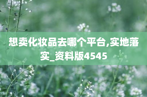 想卖化妆品去哪个平台,实地落实_资料版4545