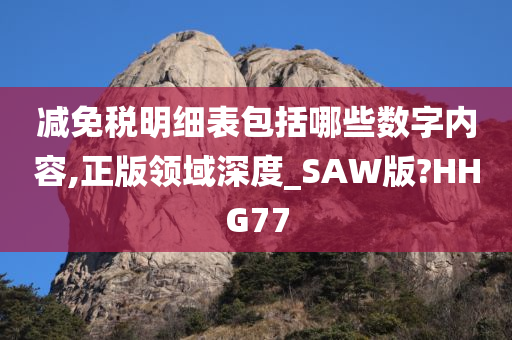 减免税明细表包括哪些数字内容,正版领域深度_SAW版?HHG77