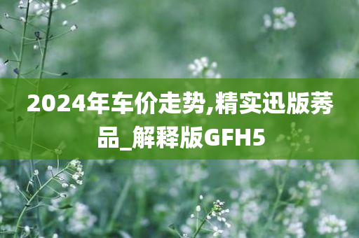 2024年车价走势,精实迅版莠品_解释版GFH5