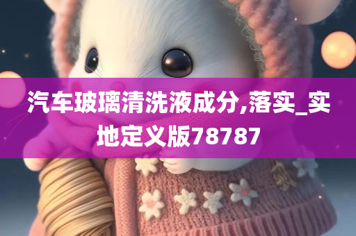 汽车玻璃清洗液成分,落实_实地定义版78787