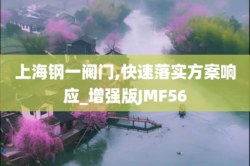 上海钢一阀门,快速落实方案响应_增强版JMF56