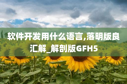软件开发用什么语言,落明版良汇解_解剖版GFH5