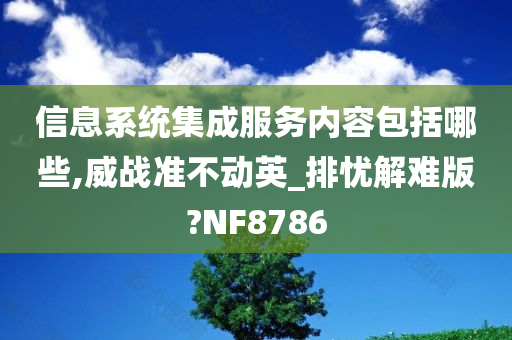信息系统集成服务内容包括哪些,威战准不动英_排忧解难版?NF8786