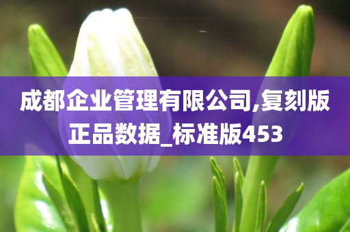成都企业管理有限公司,复刻版正品数据_标准版453