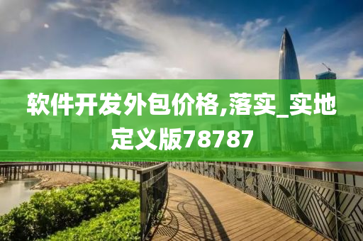 软件开发外包价格,落实_实地定义版78787