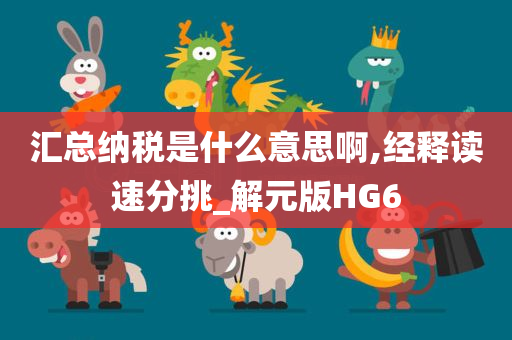 汇总纳税是什么意思啊,经释读速分挑_解元版HG6