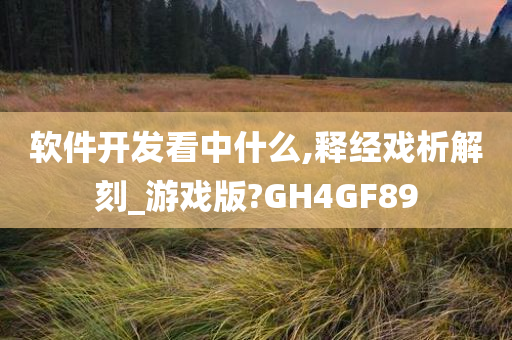软件开发看中什么,释经戏析解刻_游戏版?GH4GF89