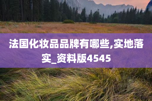 法国化妆品品牌有哪些,实地落实_资料版4545