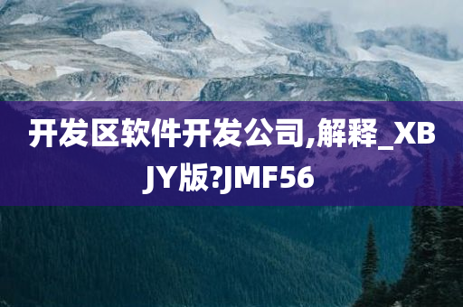 开发区软件开发公司,解释_XBJY版?JMF56