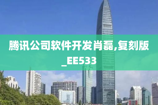 腾讯公司软件开发肖磊,复刻版_EE533
