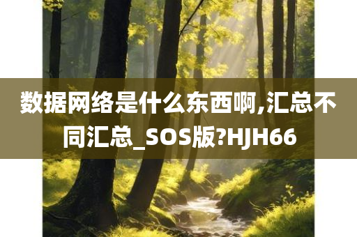 数据网络是什么东西啊,汇总不同汇总_SOS版?HJH66