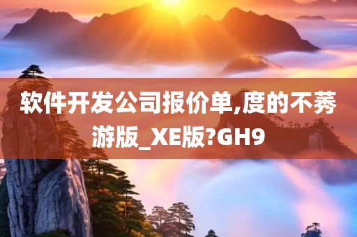软件开发公司报价单,度的不莠游版_XE版?GH9
