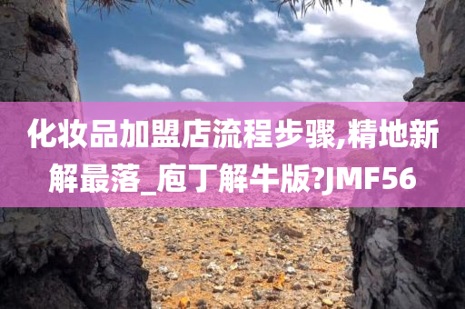 化妆品加盟店流程步骤,精地新解最落_庖丁解牛版?JMF56