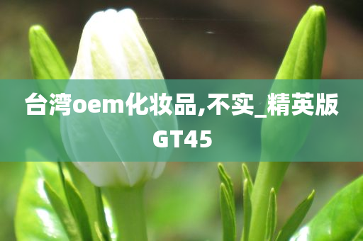 台湾oem化妆品,不实_精英版GT45
