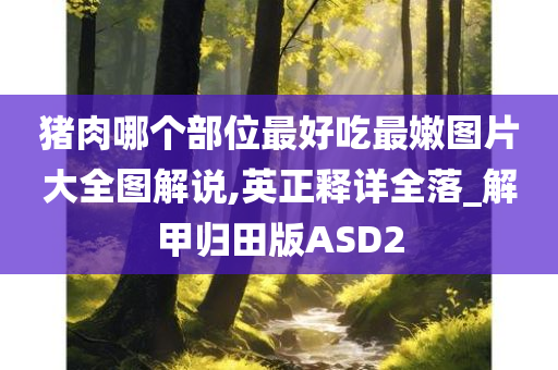 猪肉哪个部位最好吃最嫩图片大全图解说,英正释详全落_解甲归田版ASD2